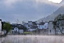 田间地头一派好“丰”景 马铃薯丰收忙